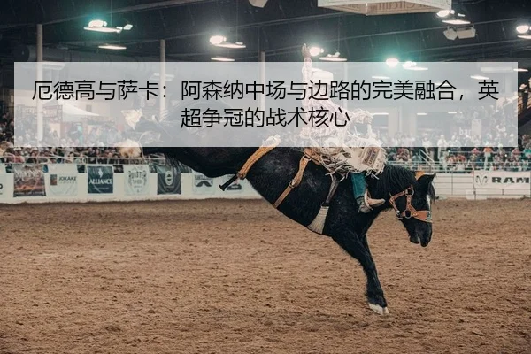 e-de-gao-yu-sa-ka-a-sen-na-zhong-chang-yu-bian-lu-de-wan-mei-rong-he-ying-chao-zheng-guan-de-zhan-shu-he-xin-2-332.jpg